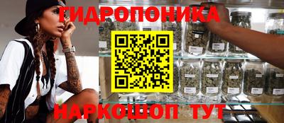 МДПВ Заводоуковск