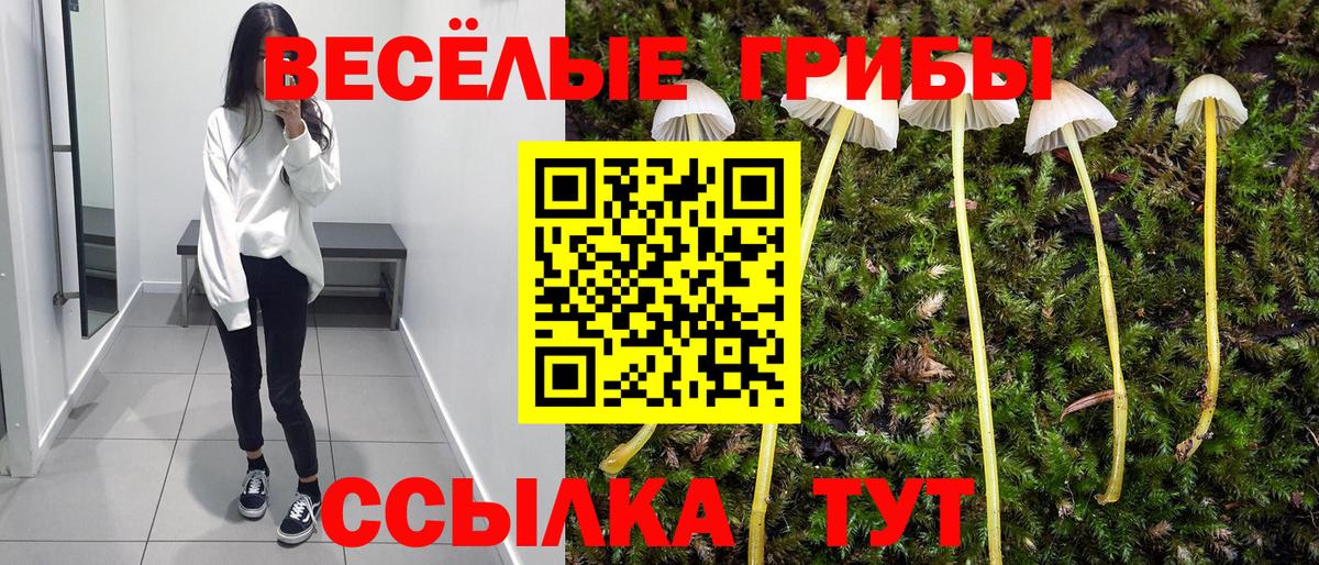 Кулебаки  Псилоцибиновые грибы прущие грибы  Вход с VPN 